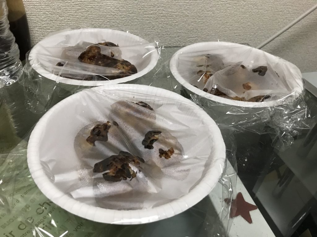 takoyakiasuhe